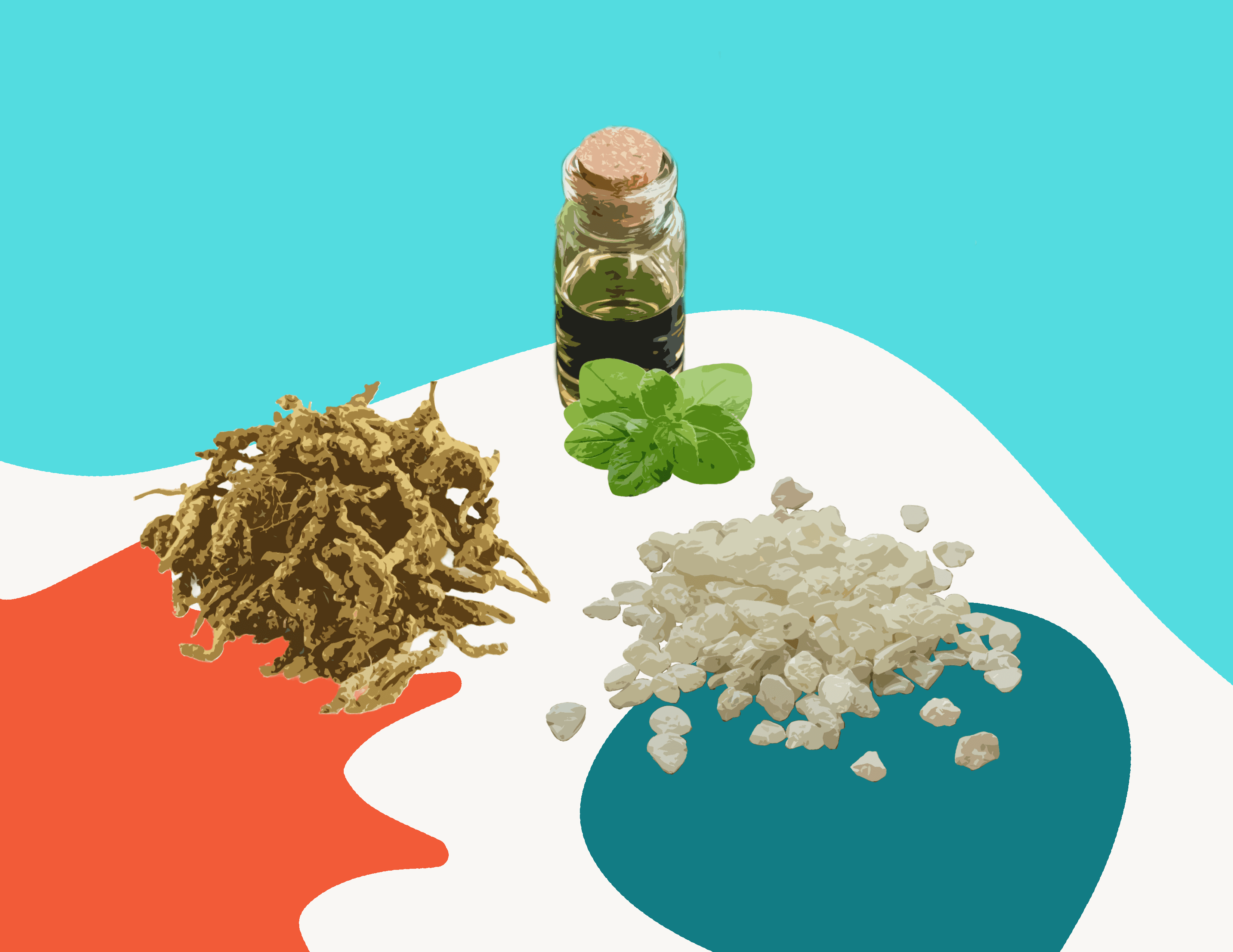Abstract illustration of three natural antimicrobial plant compounds: mastic resin, berberine root, and oregano oil