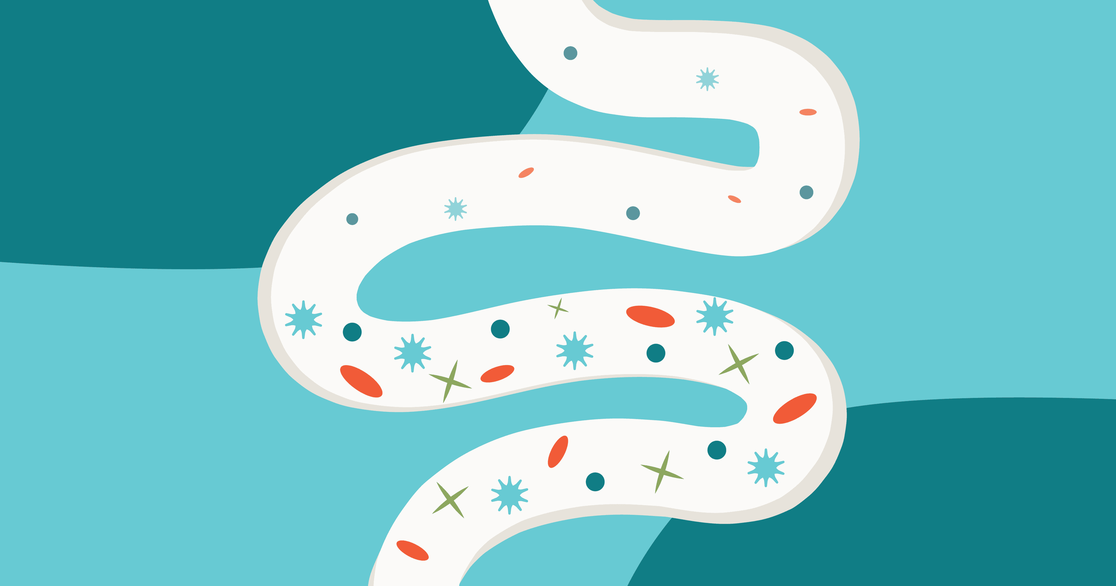 An illustrative representation of a depleted gut microbiome, versus a thriving, diverse gut microbiome. Showing how Ozempic and GLP-1 medications can alter gut microbiome.