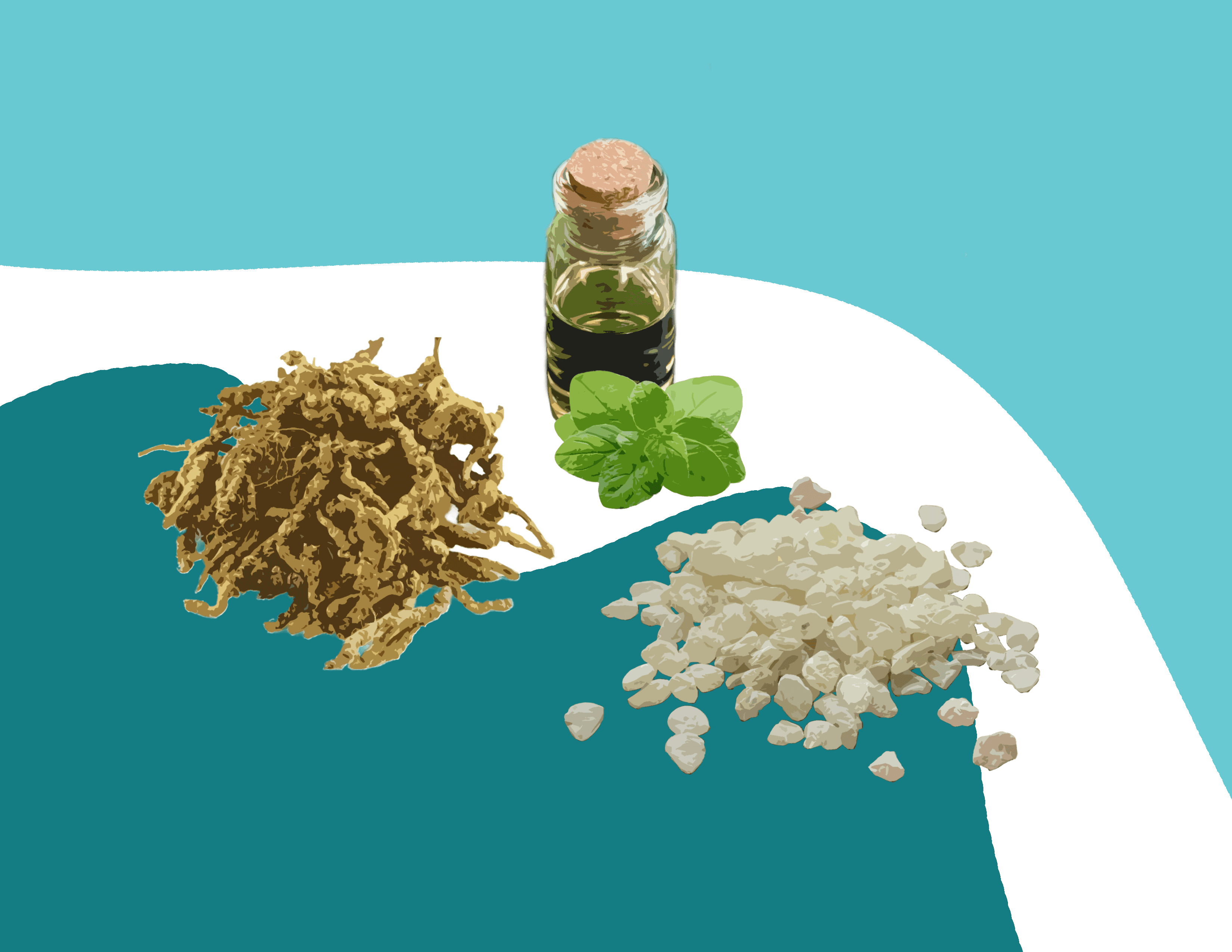 Abstract illustration of three natural antimicrobial plant compounds: mastic resin, berberine root, and oregano oil